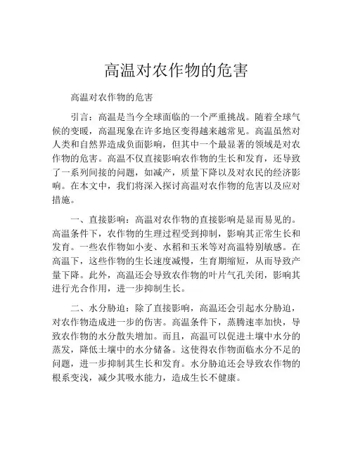高温对农作物的危害