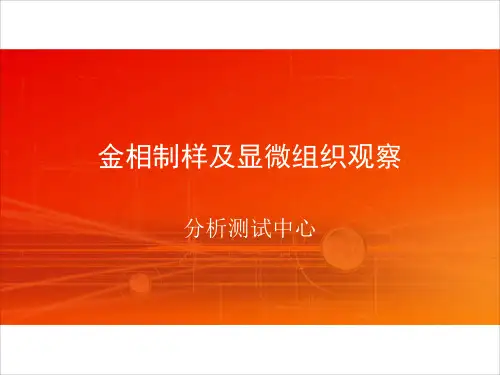 金相制样及显微组织观察