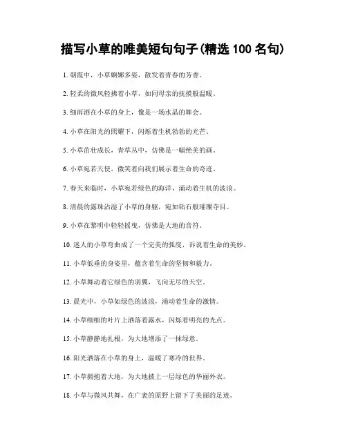 描写小草的唯美短句句子(精选100句)