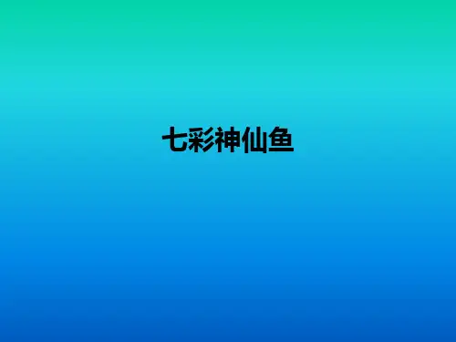 七彩神仙鱼ppt课件