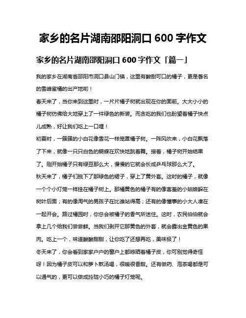 家乡的名片湖南邵阳洞口600字作文