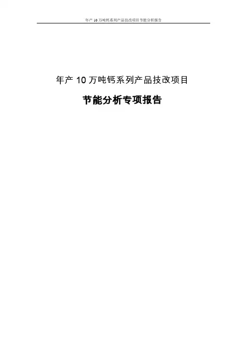 年产10万吨钙系列产品技改项目节能分析报告 精品