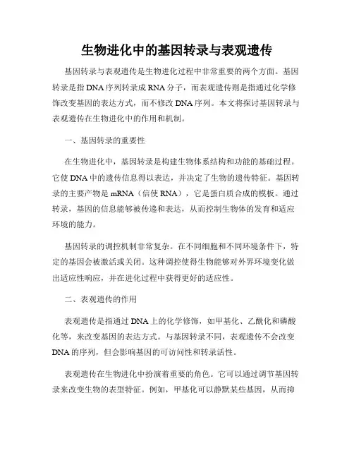 生物进化中的基因转录与表观遗传