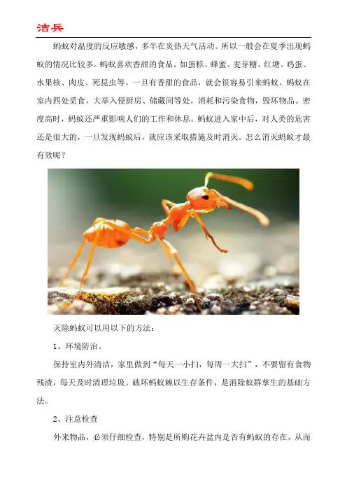 室内有蚂蚁用什么方法消灭