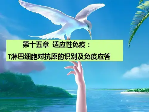 15章适应性免疫：T细胞免疫应答PPT课件