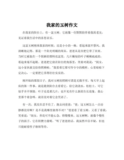 我家的玉树作文