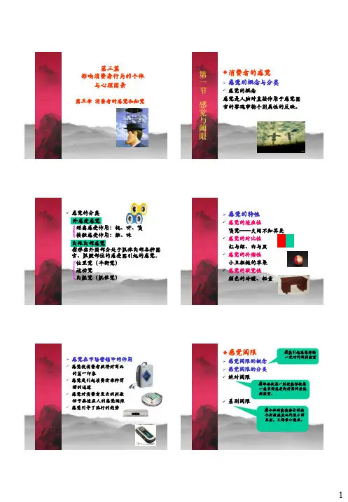 消费者行为学-第五章-消费者的感觉与知觉