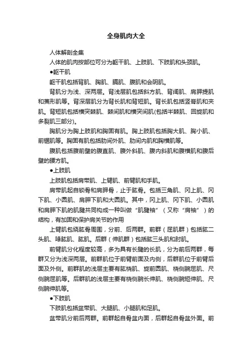 全身肌肉大全