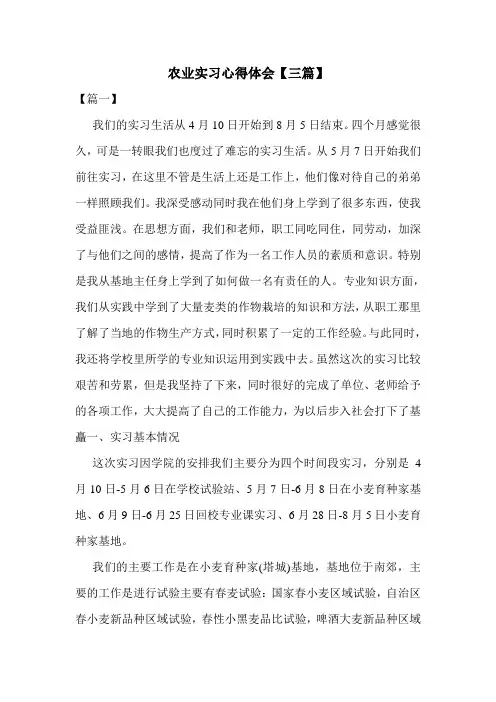 农业实习心得体会【三篇】