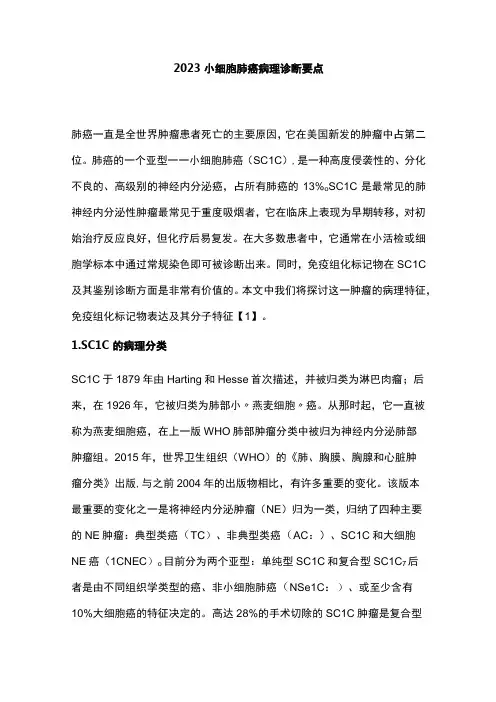 2023小细胞肺癌病理诊断要点