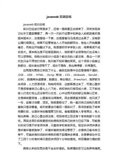 javaweb实训总结