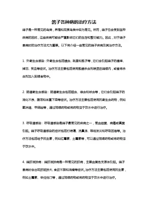 鸽子各种病的治疗方法