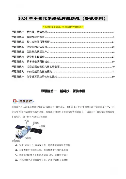 化学(安徽专用)(原卷版)-2024年中考终极押题猜想