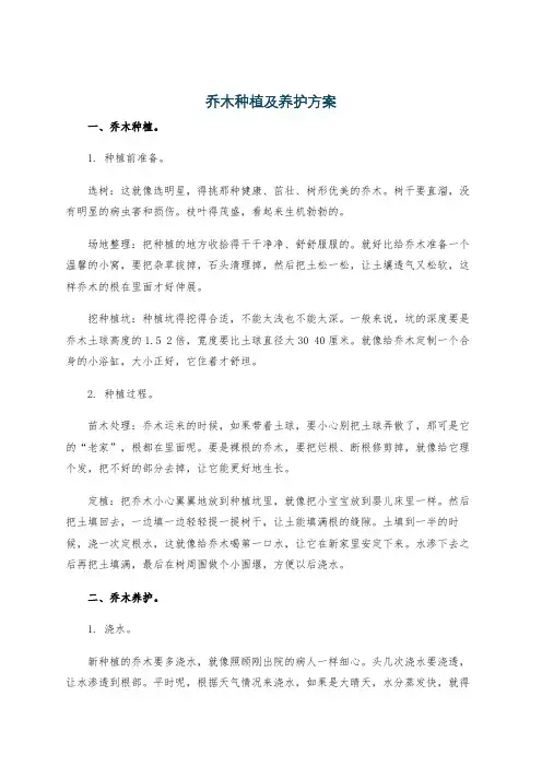 乔木种植及养护方案