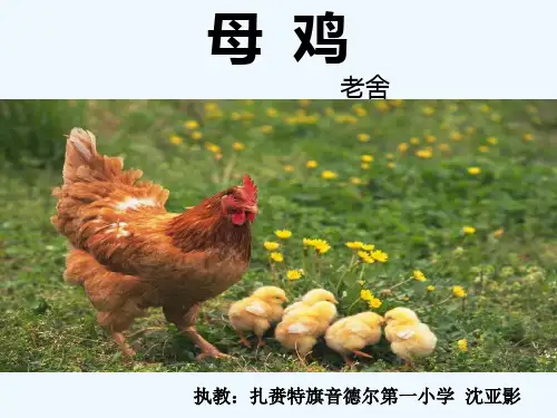人教版四年级语文上册母鸡.《母鸡》教学课件