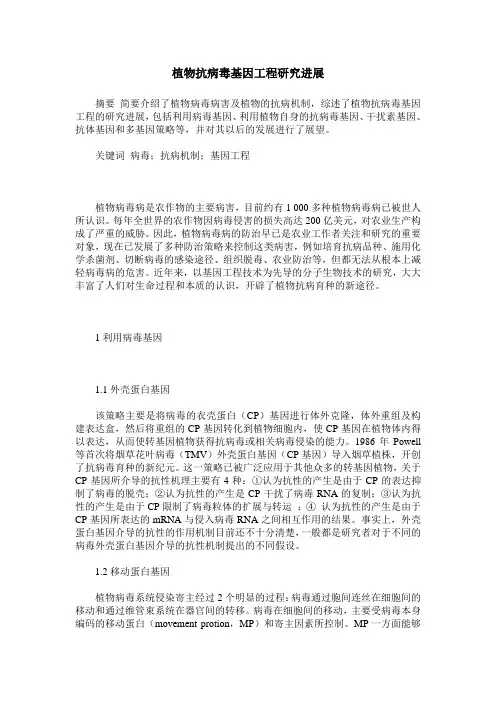 植物抗病毒基因工程研究进展