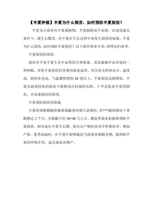 【半夏种植】半夏为什么倒苗,如何预防半夏倒苗？
