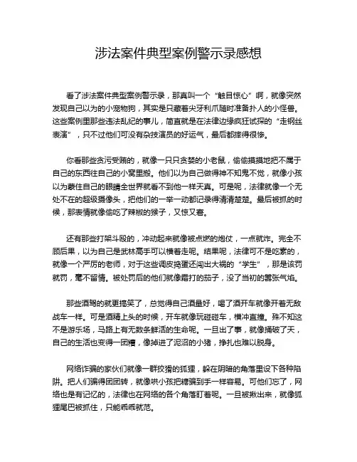 涉法案件典型案例警示录感想