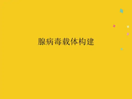 腺病毒载体构建(共10张PPT)