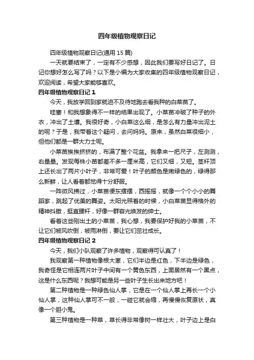 四年级植物观察日记（通用15篇）