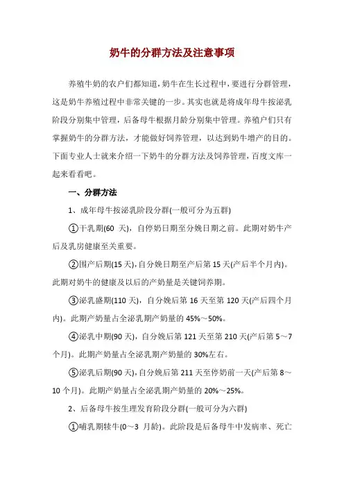 奶牛的分群方法及注意事项