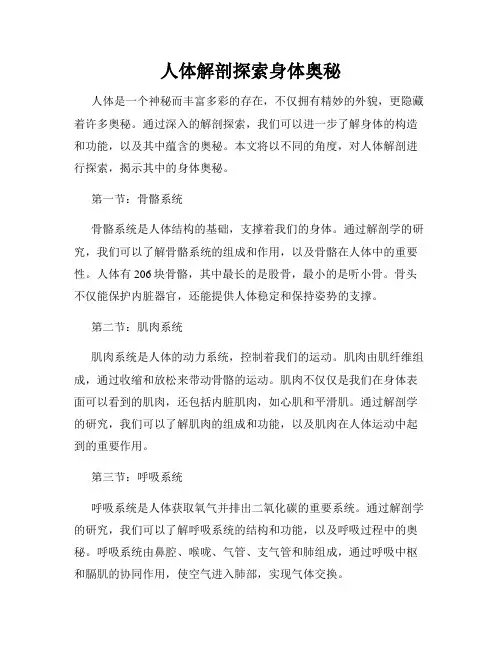 人体解剖探索身体奥秘