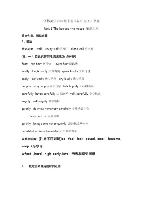 译林版六年级英语下册语法归纳