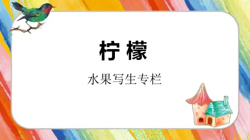《少儿美术绘画课件》水果色粉写生   8  线描彩铅色粉   《柠檬》