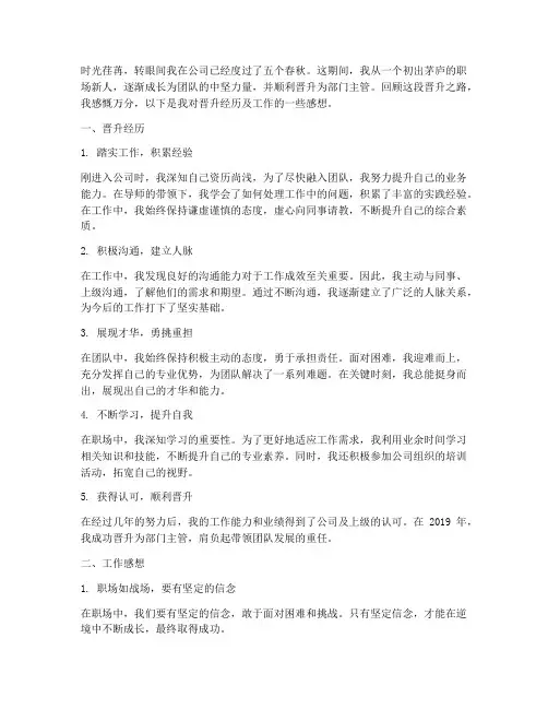 晋升经历及工作感想