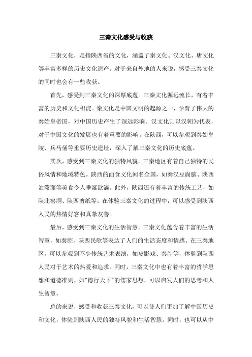 三秦文化感受与收获