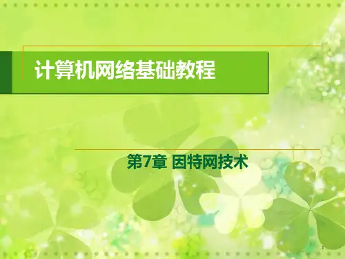 计算机网络因特网技术ppt课件