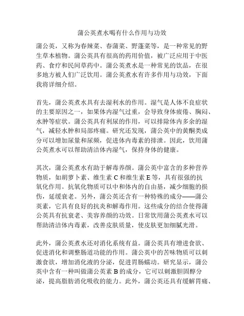 蒲公英煮水喝有什么作用与功效