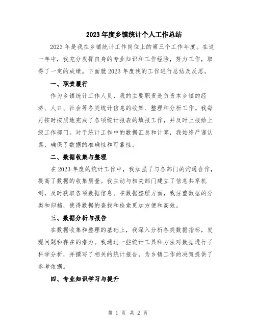2023年度乡镇统计个人工作总结