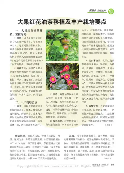 大果红花油茶移植及丰产栽培要点