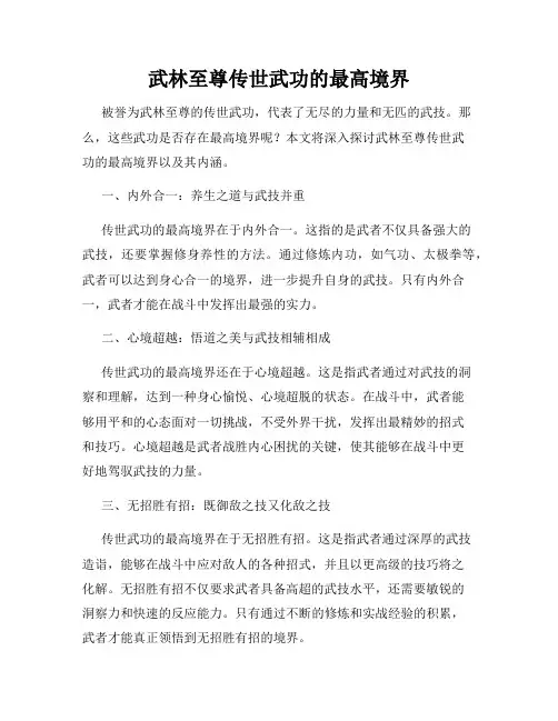武林至尊传世武功的最高境界