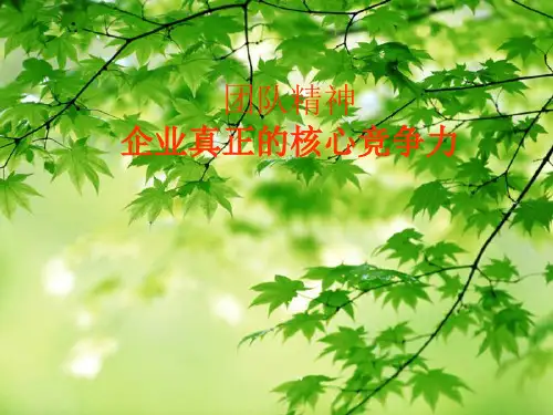 企业的核心竞争力团队的力量