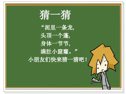 《拓印藕片》 少儿畅想美术PPT课件