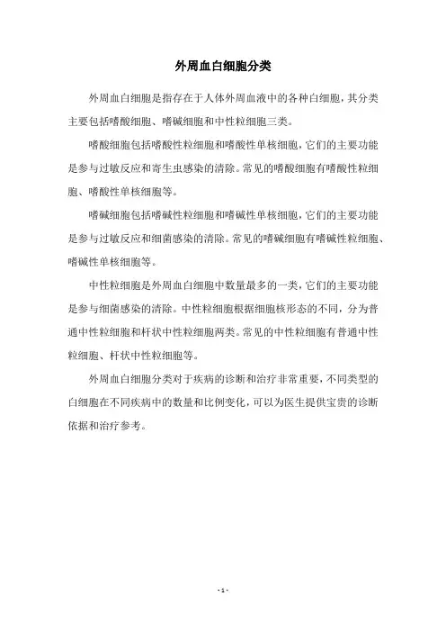 外周血白细胞分类