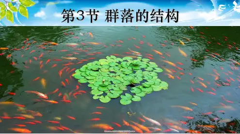 3课件：4.3-生物群落的结构(共19张PPT)(最新版推荐下载)