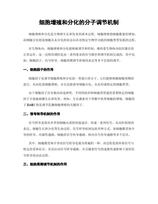 细胞增殖和分化的分子调节机制