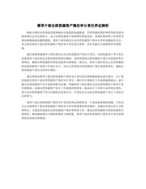 领导干部自然资源资产离任审计责任界定探析
