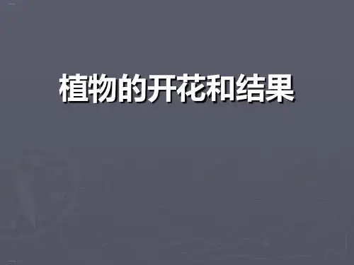 《植物的开花和结果》PPT-完美版