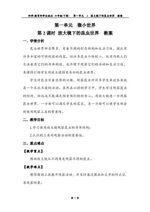 6.1.2 放大镜下的昆虫世界 教案.doc