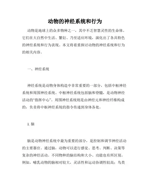 动物的神经系统和行为