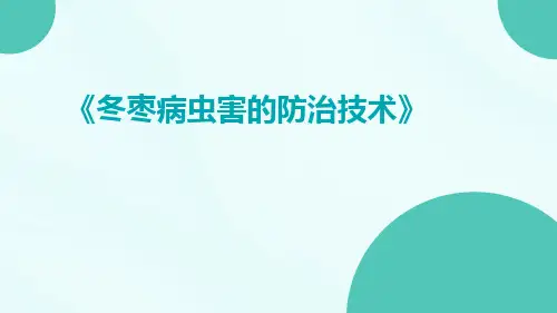 冬枣病虫害的防治技术