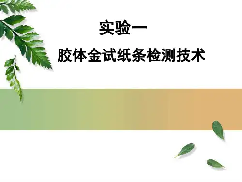 实验一 免疫层析快速诊断技术(医学免疫学)