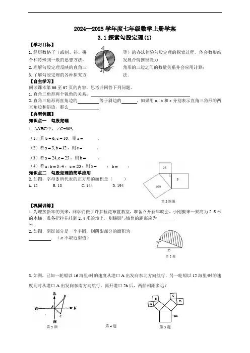鲁教版五四学制：七年级第一学期上册数学3.1探索勾股定理(1)学案和答案(2024年)新版教材