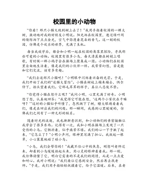 校园里的小动物