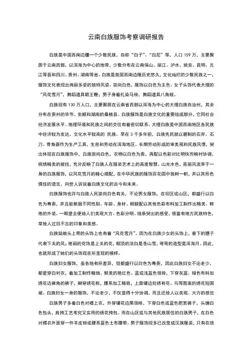 云南白族调研报告