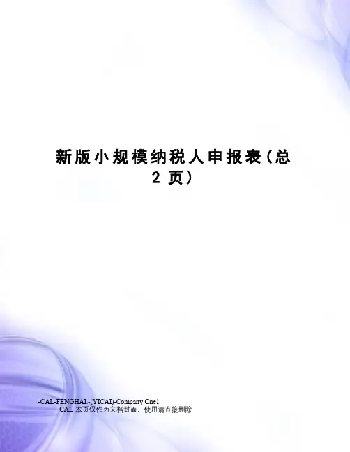 新版小规模纳税人申报表